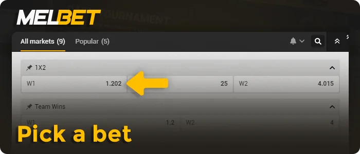 Choose a bet on MelBet cricket match